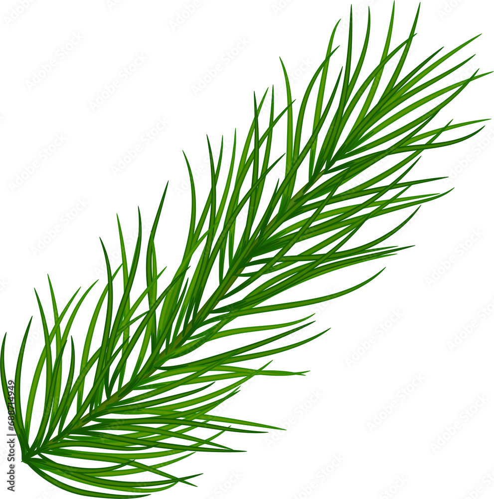 Green pine branches, close-up. Christmas decor and garlands. New Year. Holiday decor. Illustration, on transparent, png. Green pine branches, close-up. Christmas decor and garlands. New Year. Holiday decor. Illustration, on transparent, png.