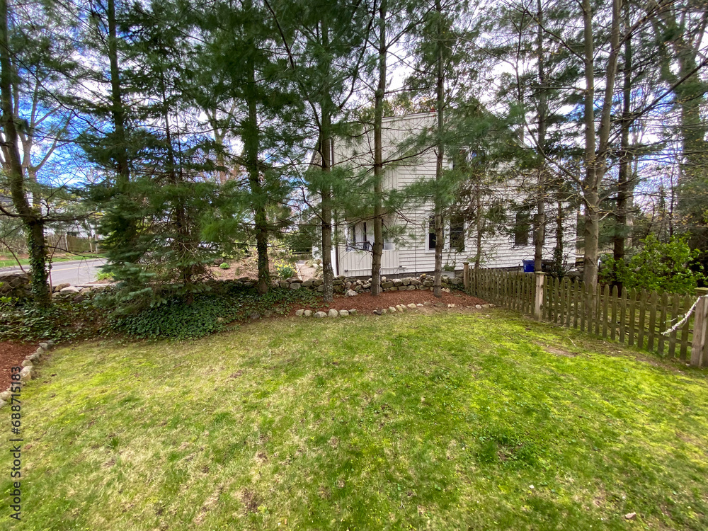 Fototapeta premium Jardines de casas en primavera