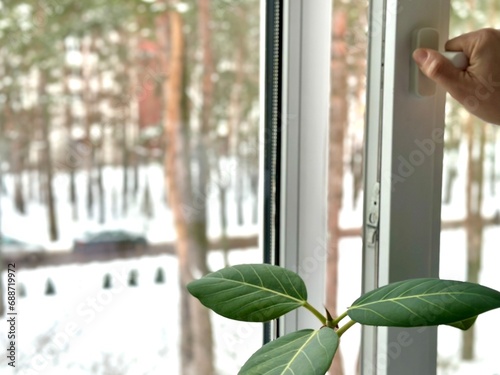 Valokuva A hand opens a vinyl plastic window on a winter background