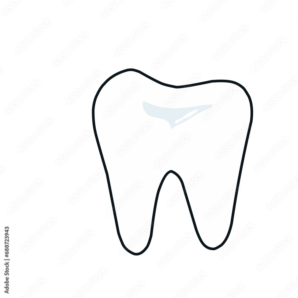 Human teeth Human teeth