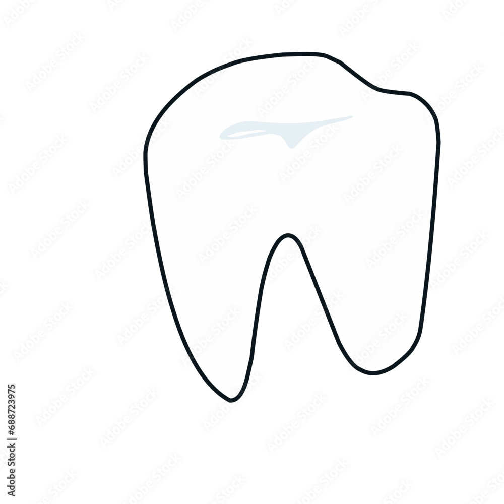 Human teeth Human teeth