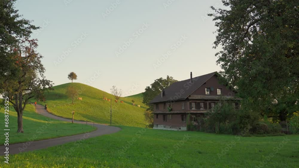 Rustic village with lonely tree on hill and cows grazing in the morning at Switzerland Rustic village with lonely tree on hill and cows grazing in the morning at Switzerland