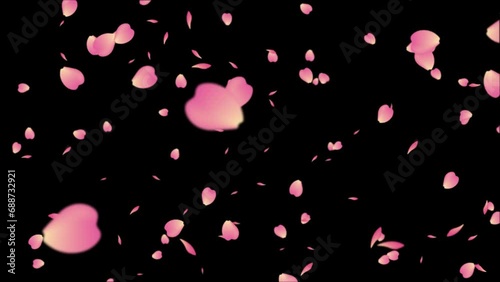 Sakura cherry blossom petals falling realistic spring decoration easter wedding overlay 4k background loop