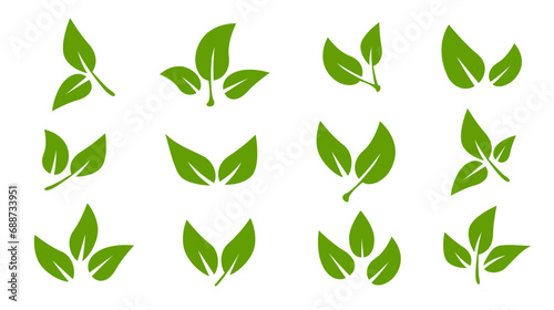 Set of green leaf icons. Leaves of trees and plants. Leaves on white background. Ecology. Vector illustration. photo