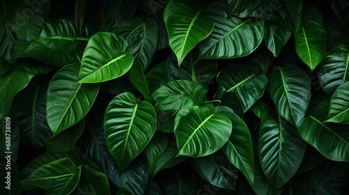 The background is made up of tropical green leaves.