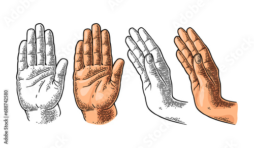 Hand showing stop gesture. Front and side view. Vector color and monochrome vintage engraving illustration isolated on a white background. For web, poster, info graphic.