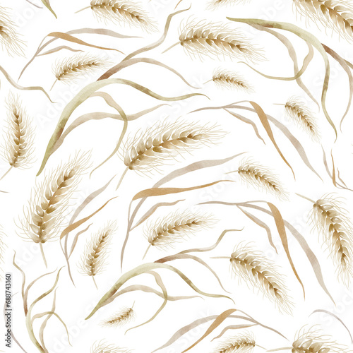 Wheat seamless pattern. Ears of cereal are hand drawn on a white background. Watercolor ornament texture of oat and rye plant stems. Design of wrapping paper and textiles. photo