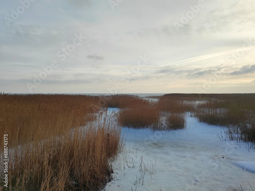 Eisdecke auf Ringköbing Fjord photo