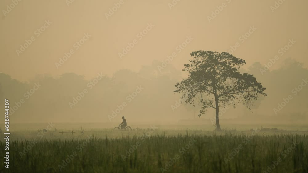 Foggy winter morning video of rural Bangladesh with ambient sound. Serene and picturesque footage for use in videos about nature, travel, and rural life. Biking, cycling, hiking, travel, vacation Foggy winter morning video of rural Bangladesh with ambient sound. Serene and picturesque footage for use in videos about nature, travel, and rural life. Biking, cycling, hiking, travel, vacation