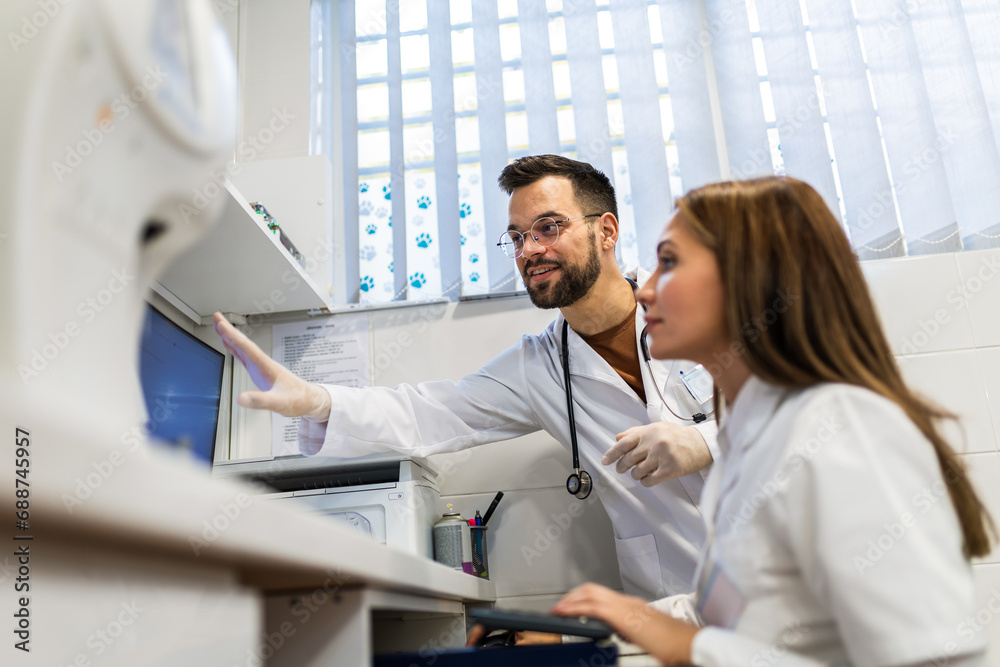 Fototapeta premium Veterinarians working in laboratory. Vet doctors are examining sample at animal hospital.