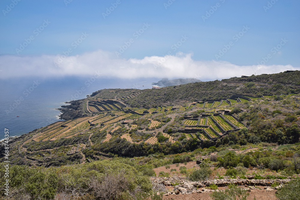 Panoramic view with Mediterranean vegetation and agricultural terraces in Pantelleria island, Italy