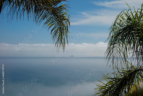 vista para o Rio Tejo  em Oeiras. vista do farol do Bugio, com nevoeiro, detalhe de palmeiras. margem do Rio photo