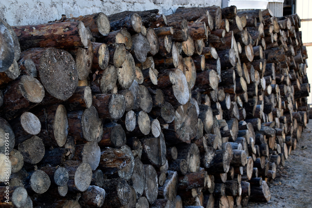 Sawn logs laid against the wall. Firewood for kindling. Sawn pine wood.