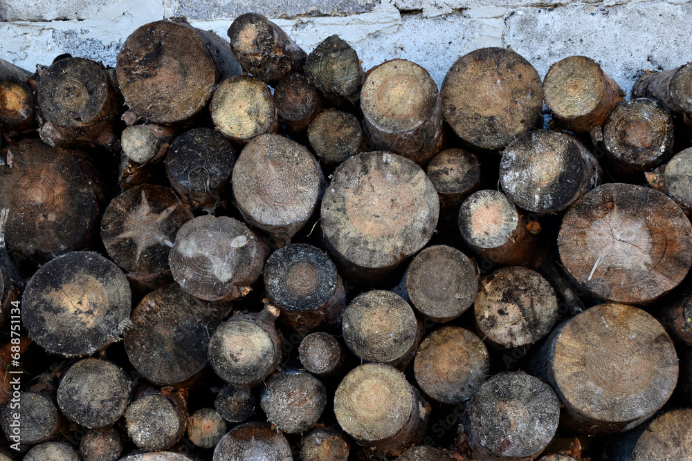Sawn logs laid against the wall. Firewood for kindling. Sawn pine wood. Sawn logs laid against the wall. Firewood for kindling. Sawn pine wood.