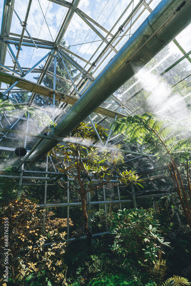 Greenhouse irrigation system misting on a hot summer day in Seattle, WA