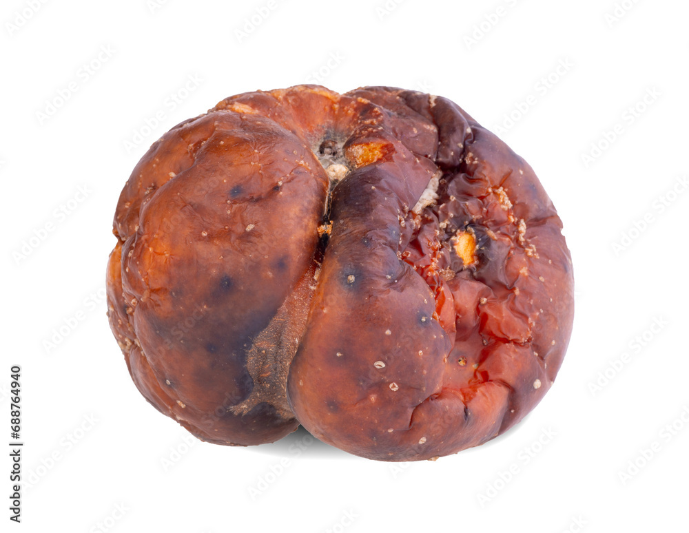 Rotten apple, isolated on a white background. Rotten apple, isolated on a white background.