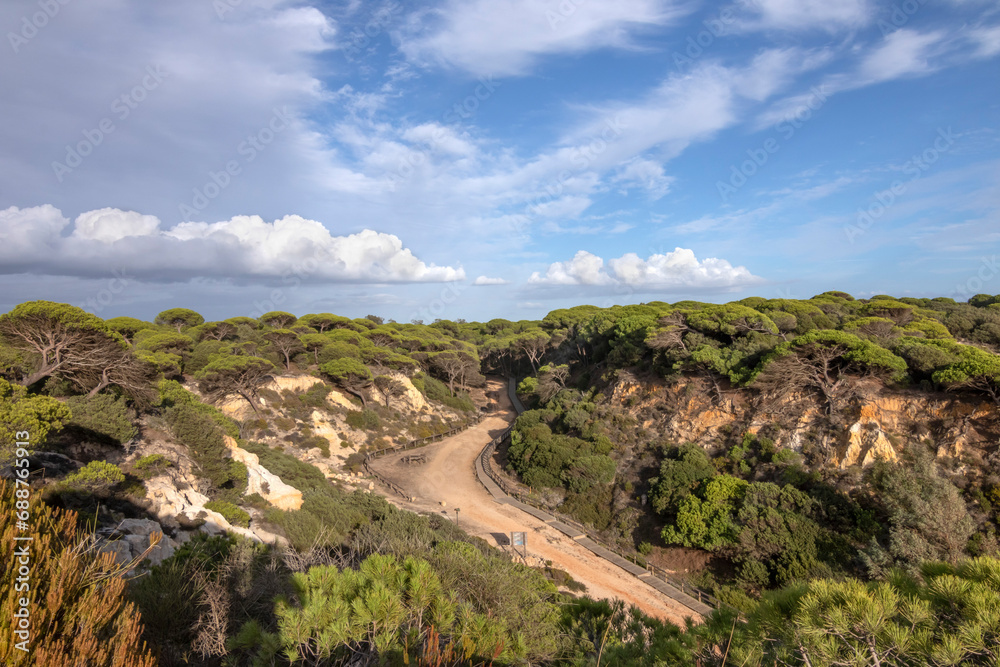 El Arenosillo beach is characterized by being a virgin beach of fine, golden sand. Its cliffs make it unique. Pure nature, full of pine trees and native vegetation. One of the best beaches in Spain. El Arenosillo beach is characterized by being a virgin beach of fine, golden sand. Its cliffs make it unique. Pure nature, full of pine trees and native vegetation. One of the best beaches in Spain.
