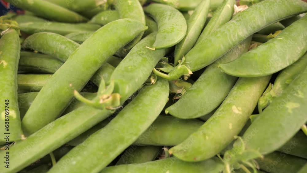 Fava beans are placed in a container at a market stall Fava beans are placed in a container at a market stall