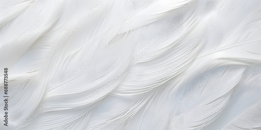 Close up abstract white feather background Close up abstract white feather background