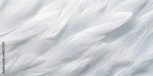 Close up abstract white feather background photo