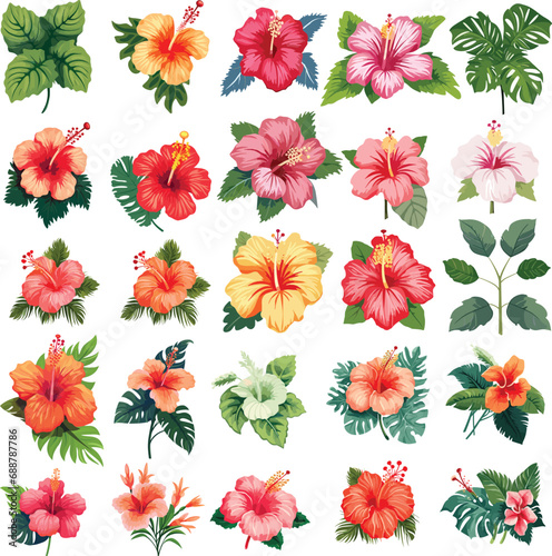 hibiscus flower illustration vector summer nature Hawaii tropical design exotic floral botanical palm isolated set