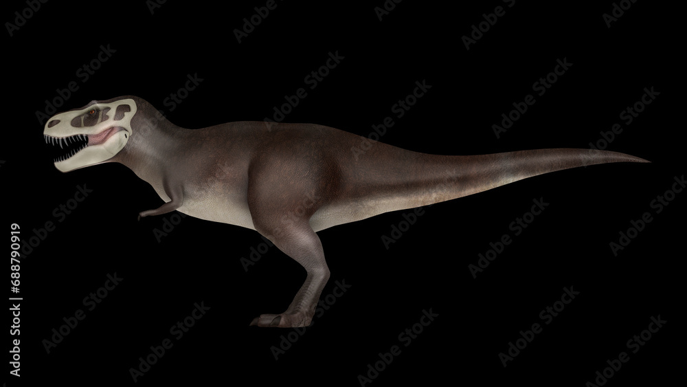 Fototapeta premium Tyrannosaurus rex dinosaur, side view.