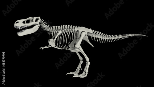 Skeletal system of Tyrannosaurus rex, side view. © Stocktrek Images