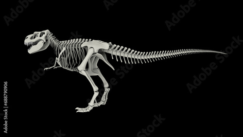 Skeletal system of Tyrannosaurus rex, side view. photo