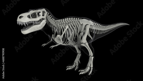 Skeletal system of Tyrannosaurus rex, side view. © Stocktrek Images