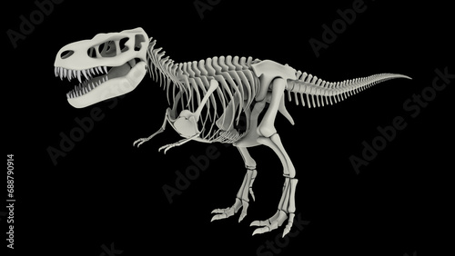 Skeletal system of Tyrannosaurus rex  side view.