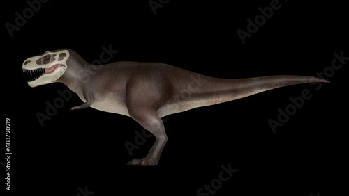 Tyrannosaurus rex dinosaur  side view.