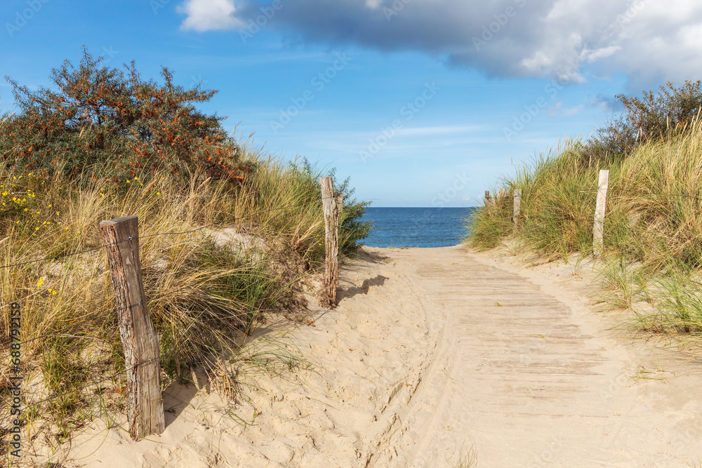 Holzweg mit Zäunen durch Dünen zum Strand an der Ostsee bei Heiligenhafen, Schleswig-Holstein. Mit Sanddorn, Strandhafer und Schmalblättrigem Greiskraut. Holzweg mit Zäunen durch Dünen zum Strand an der Ostsee bei Heiligenhafen, Schleswig-Holstein. Mit Sanddorn, Strandhafer und Schmalblättrigem Greiskraut.