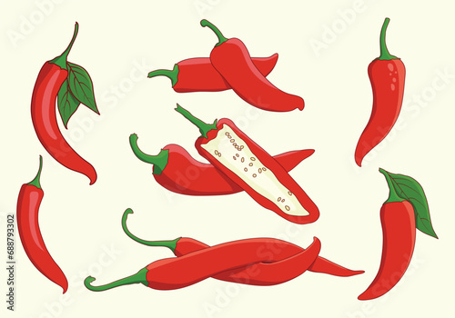Chili pepper vector illustration, Chili illustration, Chili pepper logo set, Chili pepper vector, Chili icon, Hot chili illustration.