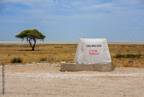 Quadro su tela Etosha Pan, Namibia