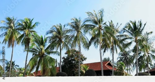 Exotic luxury resort wooden houses hidden between palm trees in Malaisya photo