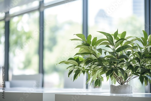 A potted plant sitting on a table in front of a window. Suitable for home decor and interior design projects