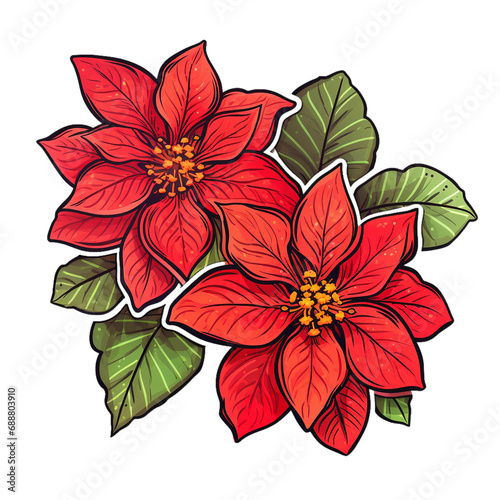 Poinsettia Flower