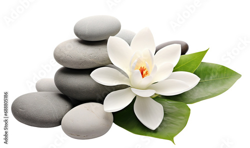 Tranquil spa stones complement lotus blooms, cut out