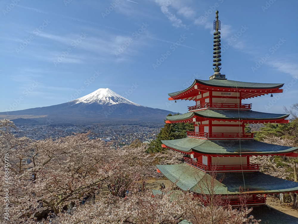 The scenery of Mount Fuji and cherry blossoms by Chureito Pagoda, Japan