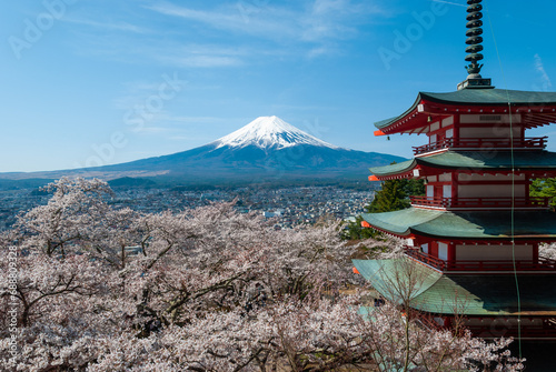 The scenery of Mount Fuji and cherry blossoms by Chureito Pagoda  Japan