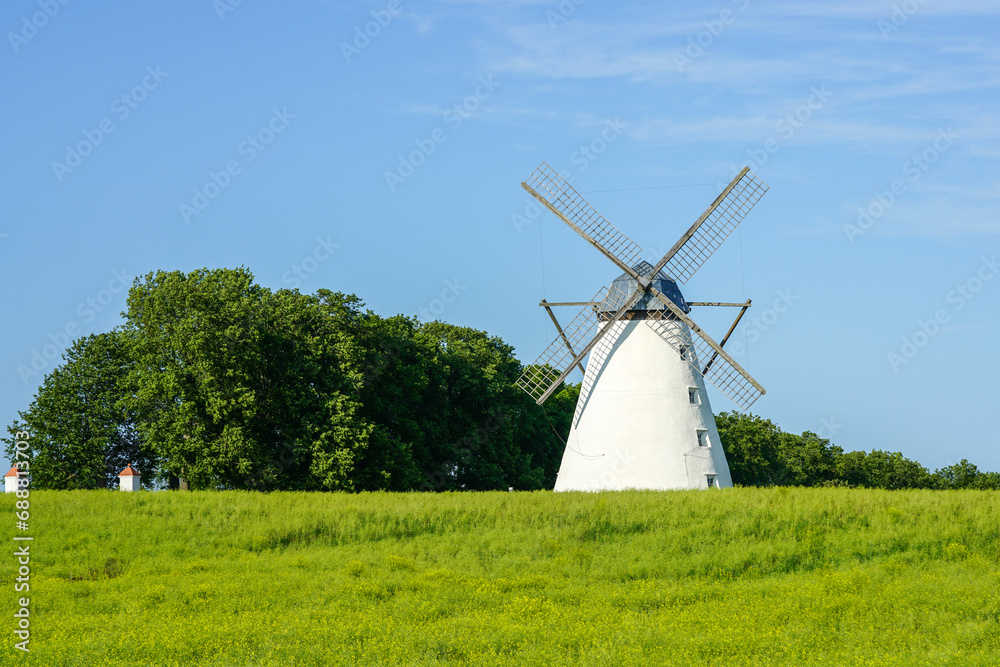 Obraz premium Beautiful summer landscape with white windmill in green field under blue sky