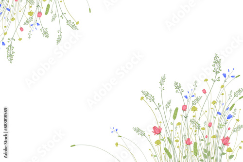 Flower border. Wild flowers and decorative grasses on a white background. Floral pattern. Vector illustration. Template for congratulations, invitations, wedding decor. Vintage