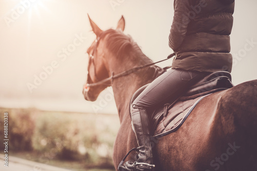 A rider on a horse ready to ride. Professional horse riding athlete. Horse jumping. Equestrian theme.