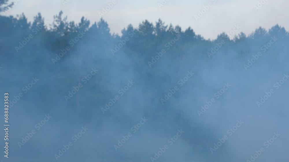 In the air, smoke looks like fog against the background of trees and forest. The concept of mystical mystery. In the air, smoke looks like fog against the background of trees and forest. The concept of mystical mystery.