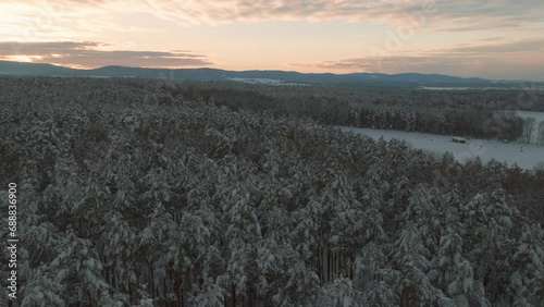 Aerial drone flight over snow covered forest in winter, cold weather, peaceful relaxing view during sunset or sunrise