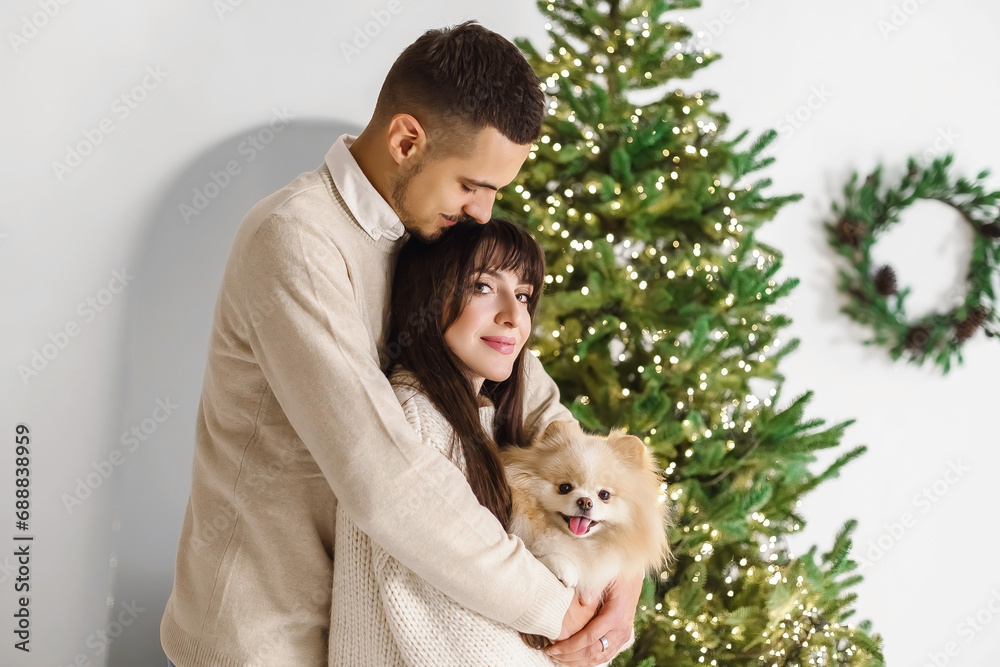 Merry Christmas. Happy young couple playing with Pomeranian Spitz dog near beautiful Christmas tree at home. Winter holidays, Christmas celebrations, New Year concept. Spending time together.