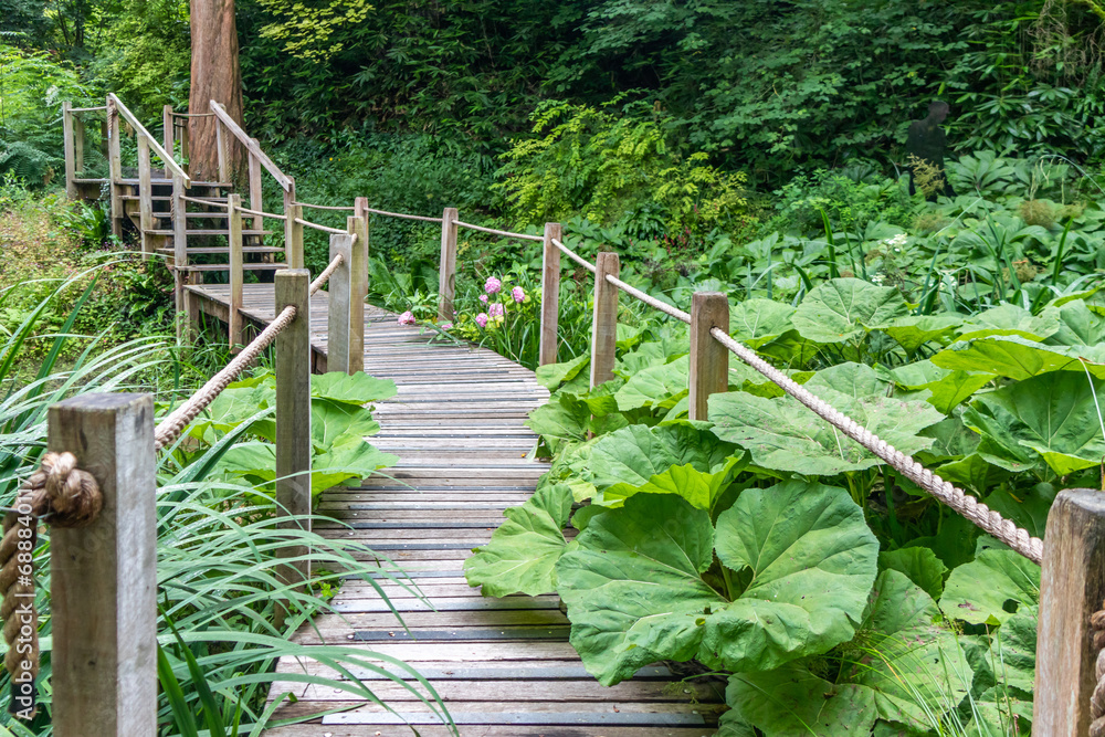Boardwalk over stream through garden Boardwalk over stream through garden
