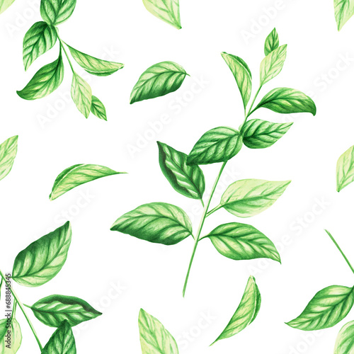 Watercolor seamless pattern of fresh peppermint leaves isolated on background. Detail of beauty products and botany set  cosmetology and medicine. For designers  spa decoration  p