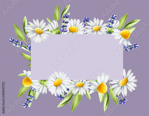 Watercolor frame and logo with lavender, sage and chamomiles illustration isolated on white background. Detail of beauty products and botany set, cosmetology and medicine. For designers, spa decor © Natalia