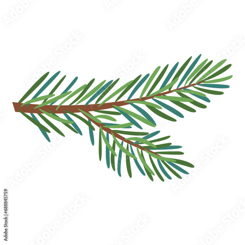 Christmas spruce branch, evergreen tree, fir, vector icon, winter plants, New Year wood, holiday decoration. Hand drawn illustration. photo